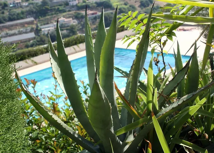 Le Fabrina Riviera Daire