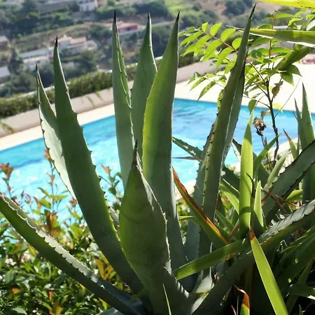 Le Fabrina Riviera Apartment