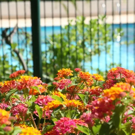 Le Fabrina Riviera Апартаменты Ницца