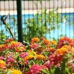 Le Fabrina Riviera Apartament Nicea